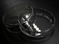 Petricsésze pár D 60/54 mm