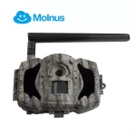 Boly Guard Falcon MG984G-36 Ultra HD vadkamera